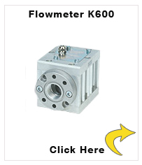K600 ¾'' Flowmeter