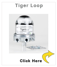 Tiger Loop