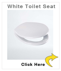 White Toilet Seat